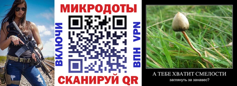 Галлюциногенные грибы мицелий  blacksprut ссылка  Черкесск 