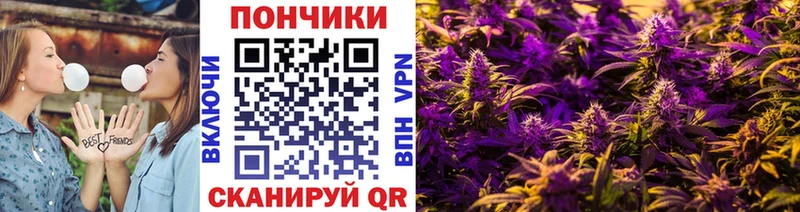 закладки  Черкесск  МАРИХУАНА сатива 